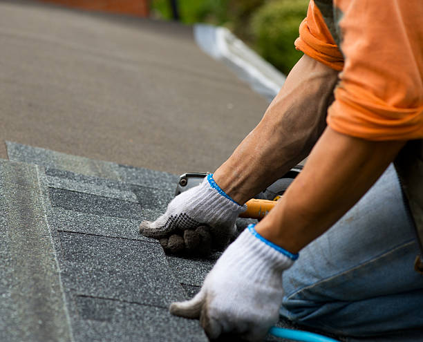Best Residential Roofing Contractor  in Bear Rocks, PA